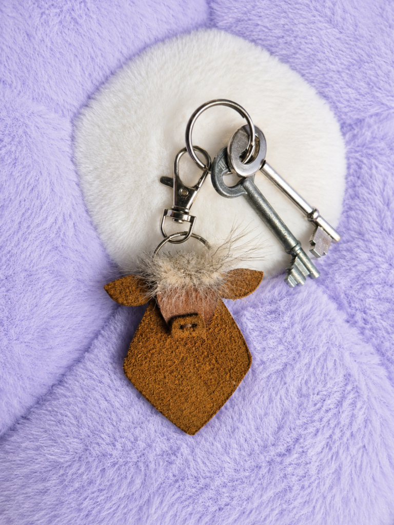 Fluffy Highland Cow